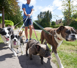 Paw Paw Pets - Pet Sitting Services and Dog Walking Service